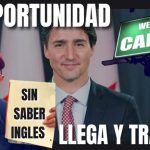 Descubre los 6 idiomas oficiales reconocidos por la ONU