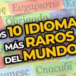 Descubre cuál es el idioma oficial de Indonesia en menos de 70 caracteres