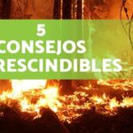 Prevenci&oacute;n y control de disturbios: Estrategias efectivas
