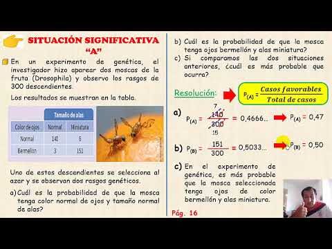 Técnicas forenses de la Guardia Civil en investigación de incendios.