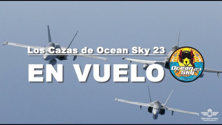 Aviones de combate en el ejército: potencia aérea militar.