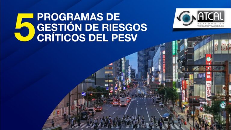 Mejores programas de seguridad vial
