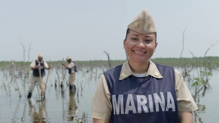 Protecci&oacute;n del Medio Ambiente Marino: Estrategias Efectivas