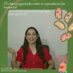Tácticas de infiltración y sabotaje: Estrategias para el éxito