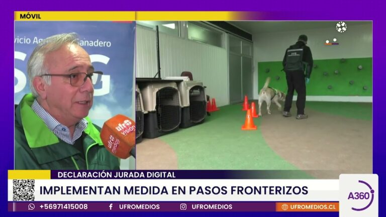 Medidas de Seguridad en Pasos Fronterizos: Protegiendo las Fronteras