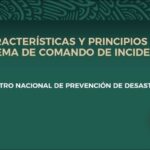 Protecci&oacute;n de Instalaciones P&uacute;blicas: Estrategias Eficaces