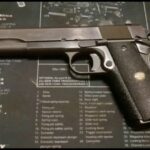 Regulación de armas de fuego: hacia una mayor seguridad
