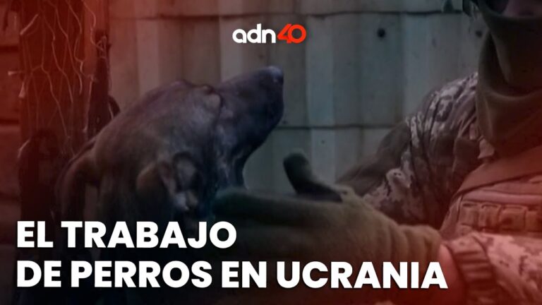 C&oacute;mo superar traumas de guerra