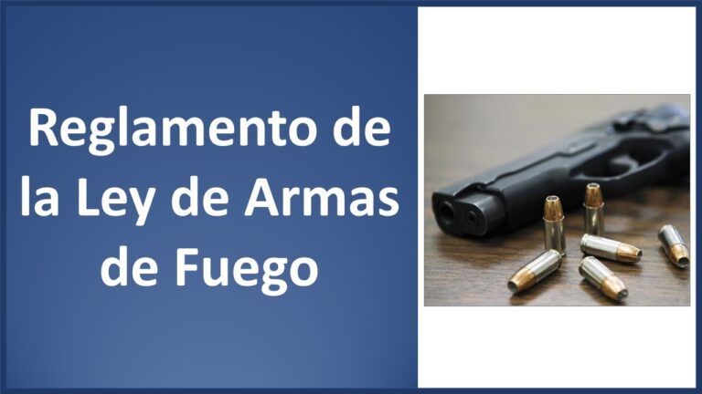 Regulación de armas de fuego: hacia una mayor seguridad
