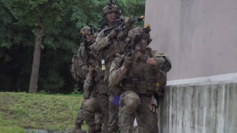 Entrenamiento militar: Simulacros de combate