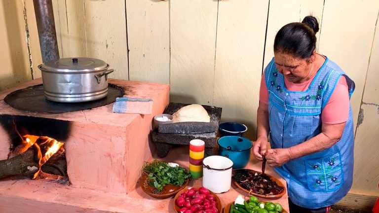 Que carne usar para birria de res