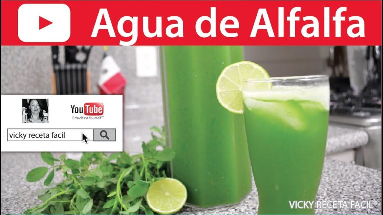 C&oacute;mo Preparar Agua de Alfalfa para Obtener los Beneficios Nutricionales de Esta Planta