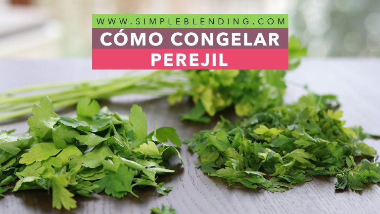 Consejos para congelar el perejil en cubitos: ¡una receta sencilla!